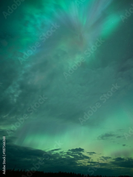 Obraz 美しいオーロラが見えた日