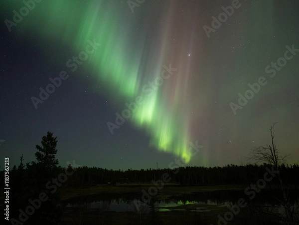 Obraz 美しいオーロラが見えた日