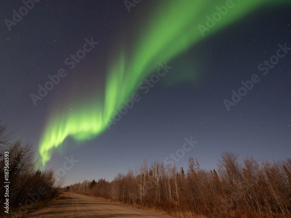 Obraz 美しいオーロラが見えた日