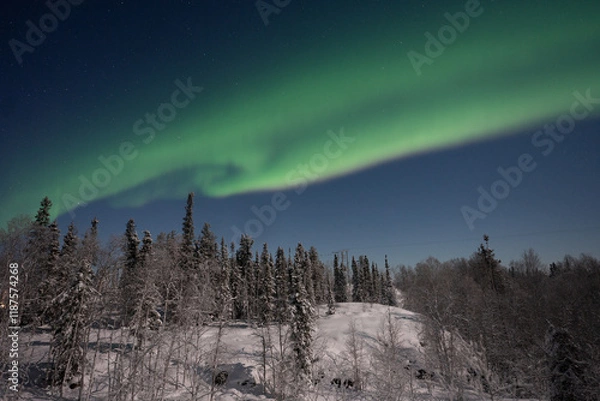 Obraz オーロラのある景色