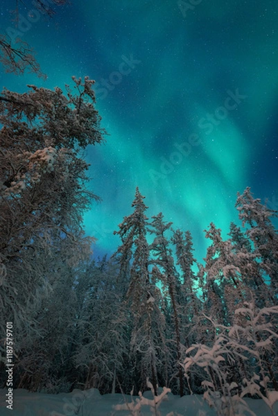 Obraz オーロラのある景色