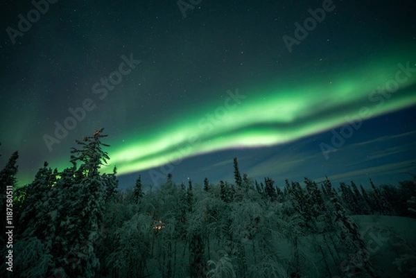 Obraz オーロラのある景色