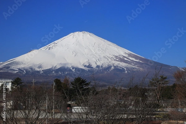 Fototapeta 公園からの富士山