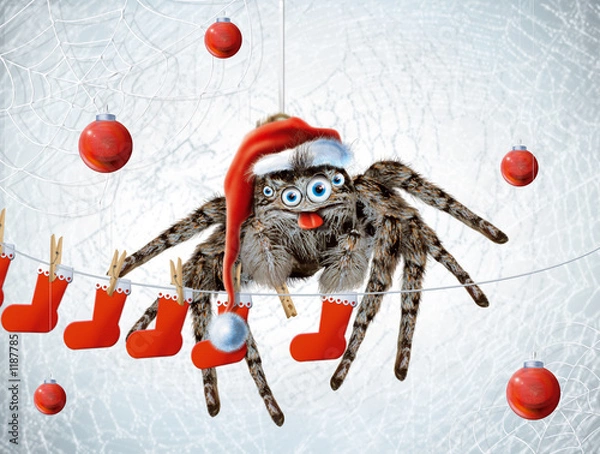 Obraz araignée de noel