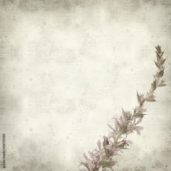 Fototapeta textured old paper background