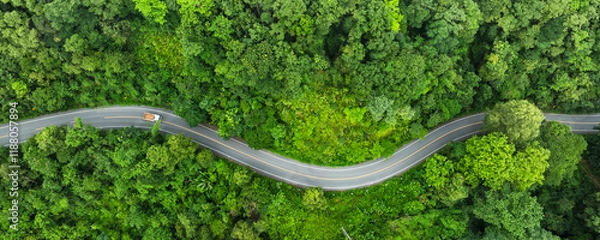 Obraz Forest road ,Top view of road in the middle of the forest curve construction up to mountain, panoramic view of Rainforest ecosystem elevated road that surrounds natural forest.