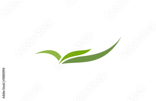 Obraz green organic leaf logo