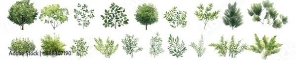 Obraz Collection of watercolor green foliage, shrubs, and trees.