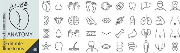 Obraz 線の編集ができる解剖学に関するアイコンセット（アウトライン化していない）