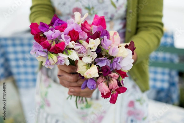 Fototapeta Sweet peas
