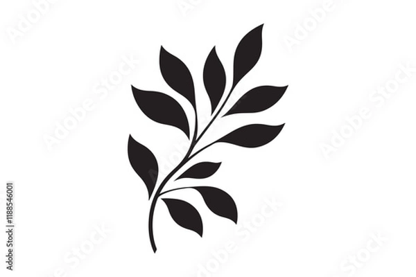 Obraz Branch with Teardrop Leaves Silhouette