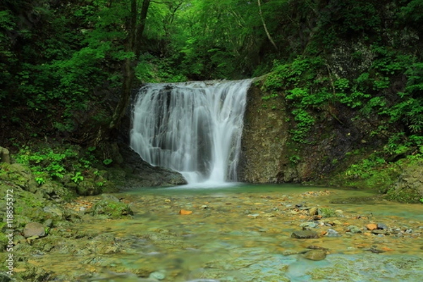 Fototapeta 岩手県　夏の幣掛けの滝
