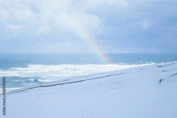 Obraz 冬の鳥取砂丘の雪景色 鳥取県 鳥取砂丘