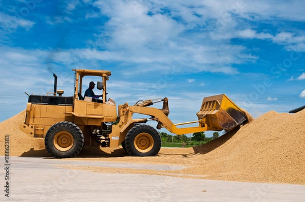 Fototapeta Skid steer loaders moving paddy