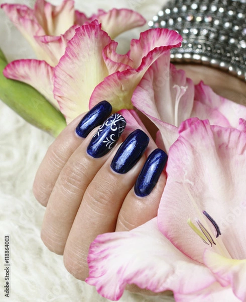 Obraz Beautifully manicured fingernails