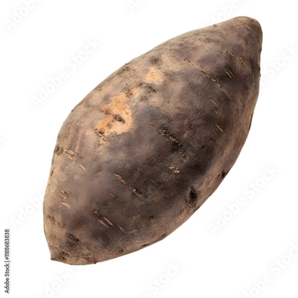 Obraz Whole sweet potato isolated die cut