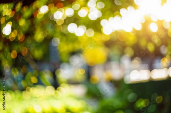 Fototapeta Blurred garden with bokeh light background, nature, park, autumn, spring autumn and summer