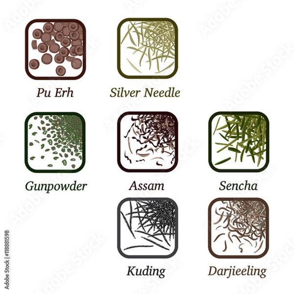 Fototapeta Varieties of tea loose in a square frame