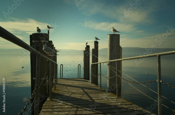 Fototapeta Eine Landungsbrücke am Ufer des Bodensees
