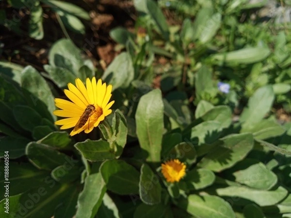 Obraz Januar 2025, Istanbul