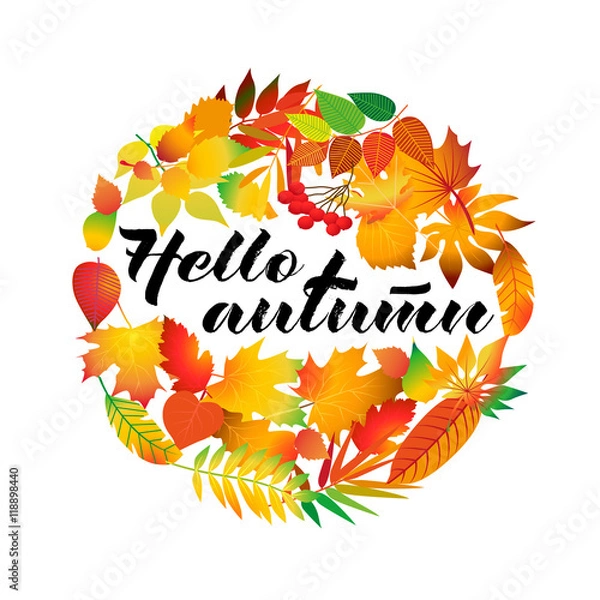 Fototapeta Autumnal round frame. Wreath of autumn leaves. Background with beautiful autumn leaves. Fall of the leaves. Isolated design elements. Vector illustration.