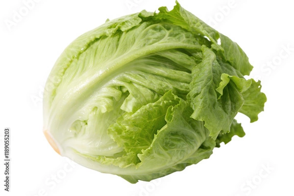 Fototapeta Una lechuga iceberg aislada