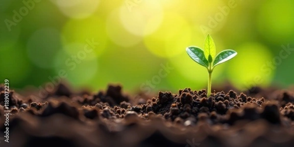 Fototapeta A Tiny Sprout Emerging from Rich Earth, Basking in the Warmth of Sunlight, Symbolizing New Growth and Hope