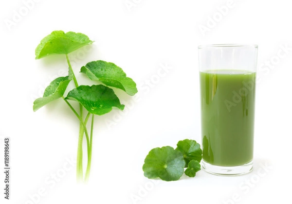 Obraz Gotu kola's leafs on white background