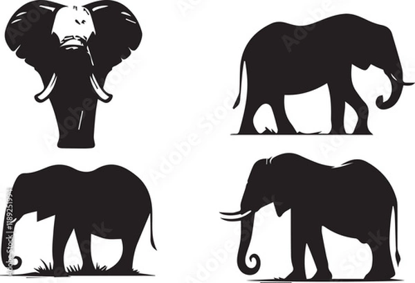 Fototapeta Elephant silhouette vector EPS SET