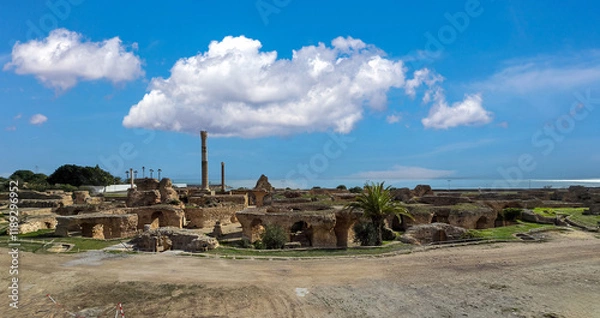 Fototapeta Archaeological site of Carthage with ruins and greenery..
