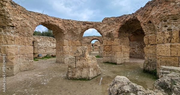 Fototapeta Archaeological site of Carthage with ruins and greenery..