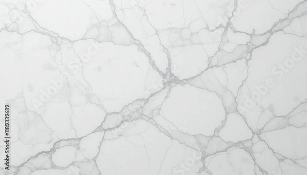 Obraz White Marble Surface with Gray Veining 