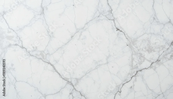 Obraz White Marble Surface with Gray Veining