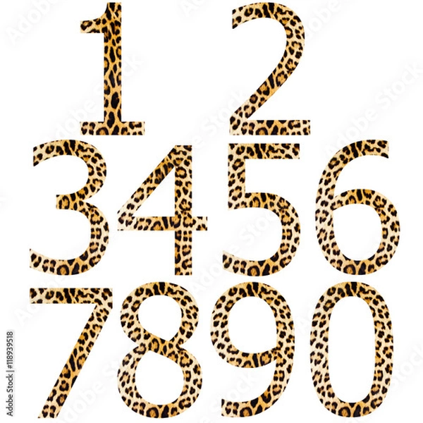 Obraz Number 1-0 with tiger skin pattern mapping