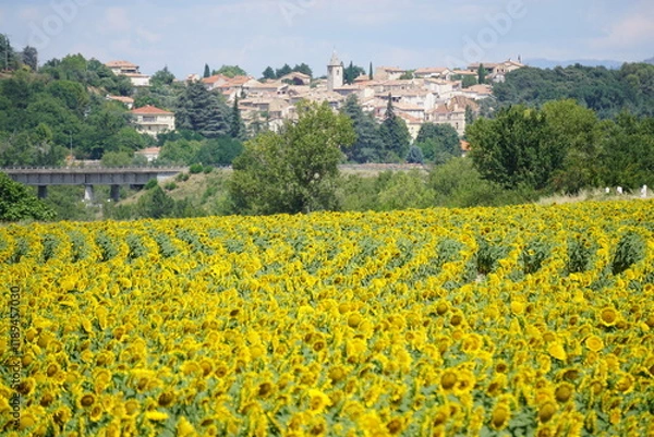 Obraz Panoramic view of chateau st arnoud-st auban in southern france in the spring with a blooming sunflower field