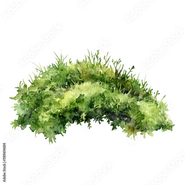 Fototapeta A watercolor vector of moss, isolated on a white background. Moss vector.
