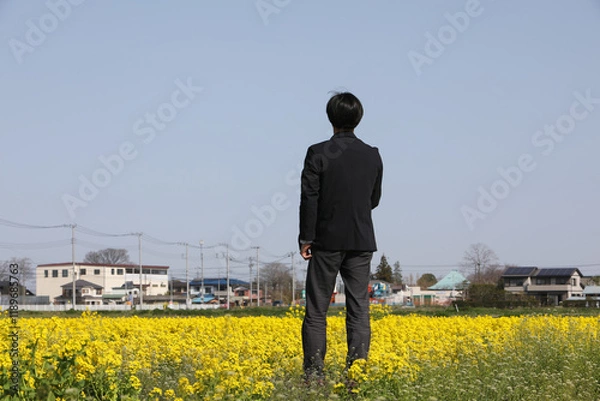 Fototapeta 菜の花畑と男性