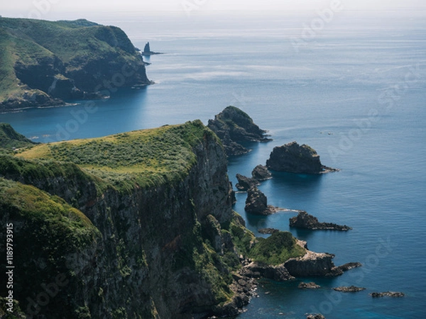 Fototapeta 隠岐諸島西ノ島国賀浜