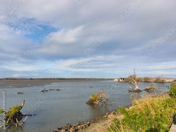 Obraz Malabon dike on a cold January 2025 morning
