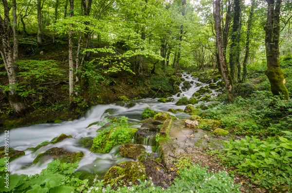 Obraz The mountain river in Montenegro