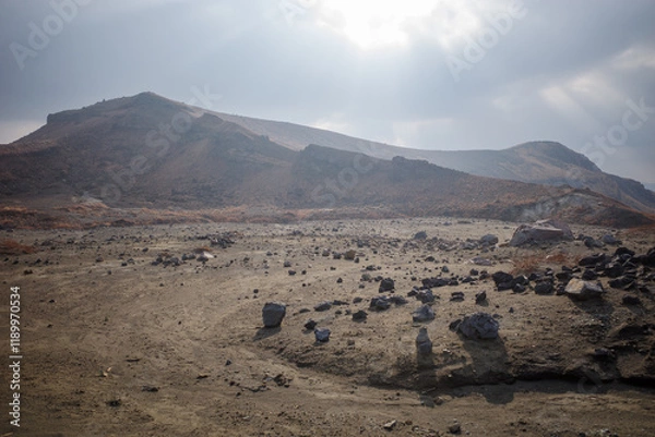 Fototapeta 阿蘇砂千里