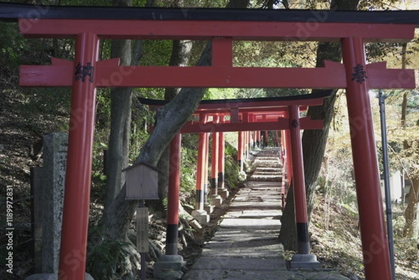 Fototapeta 京都の上賀茂神社の風景