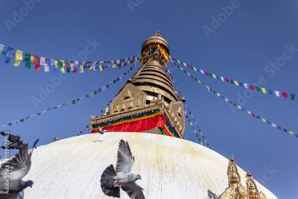 Fototapeta Pigeons flying around Swayambhunath, also known as Monkey Temple which is located at Kathmandu, Nepal
