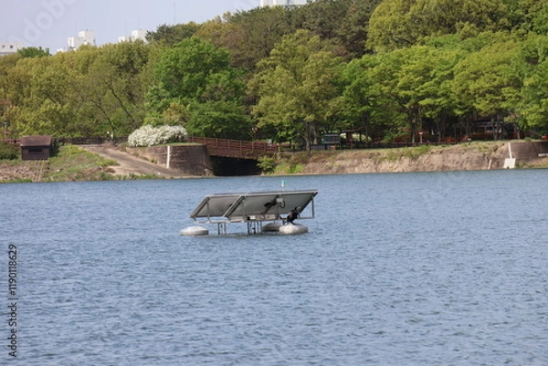 Obraz 자연의 풍경