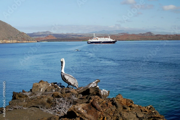 Obraz Sullivan Bay with cruise ship and pelican, Galapagos