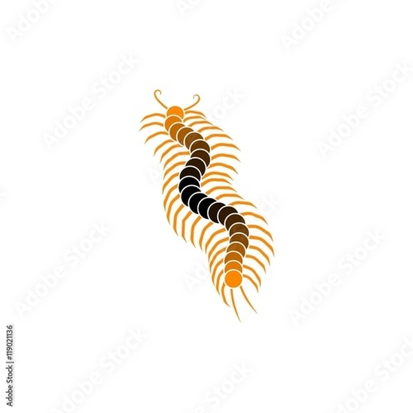 Obraz Centipede