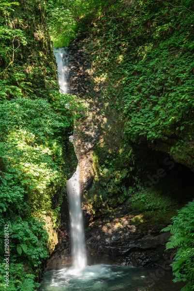 Fototapeta 涼しげな岩室の滝