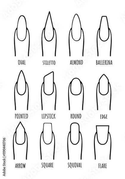 Fototapeta different shapes of nails vector line