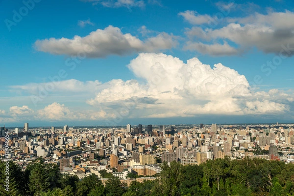 Obraz 旭山記念公園から見る札幌市内