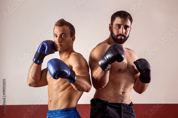 Fototapeta Muscular boxers in boxing gloves are ready for fight.